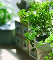 长治专属于你的开运指南，助你鸿运当头福满身！